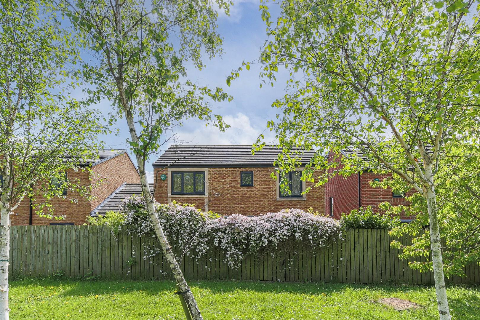 The Meadows, Wallsend, NE28